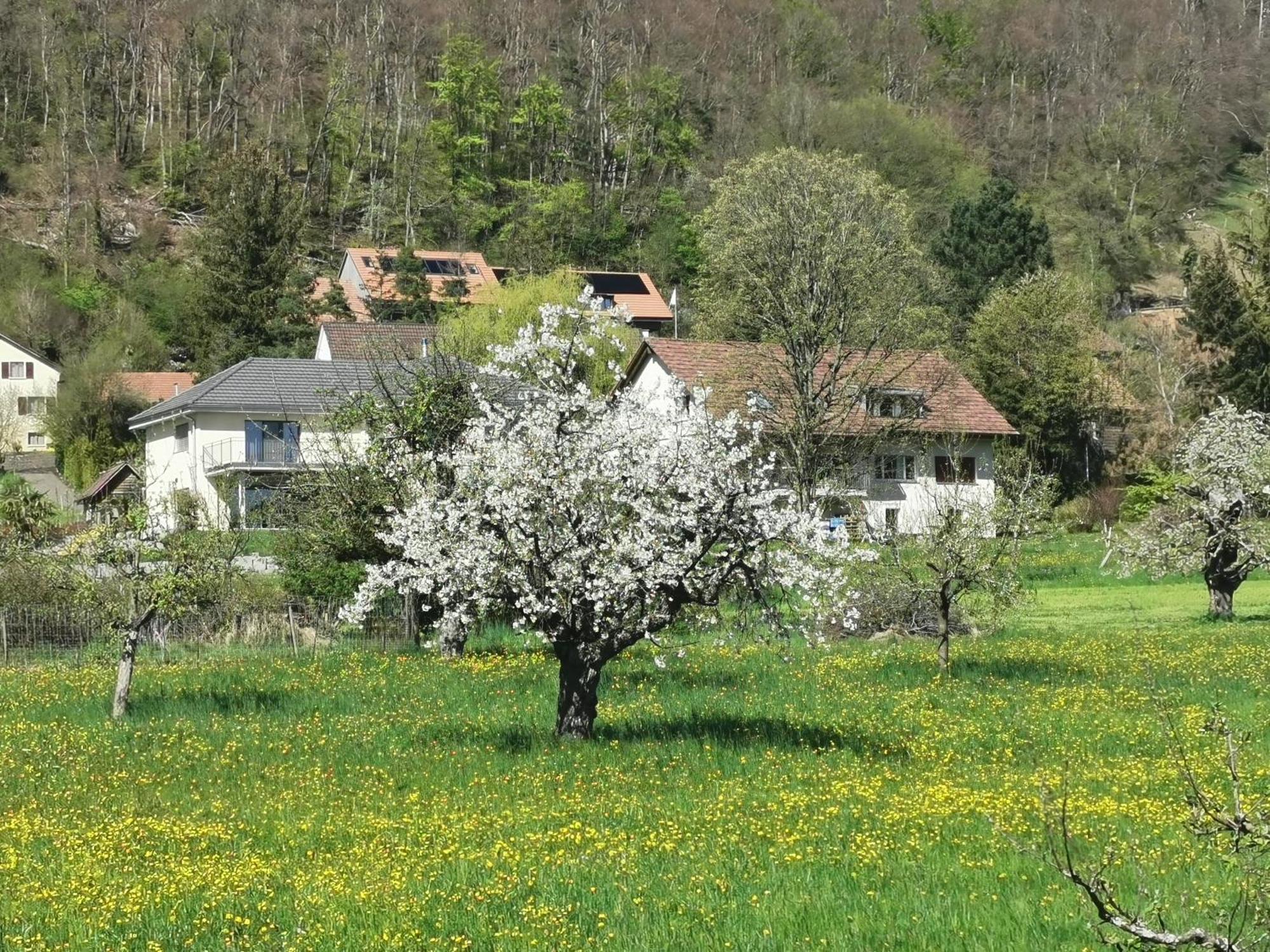 Vreni'S Gaestezimmer Himmelried Exterior foto
