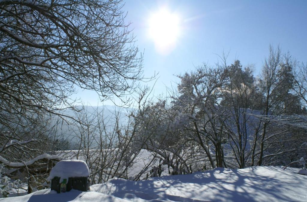 Vreni'S Gaestezimmer Himmelried Exterior foto